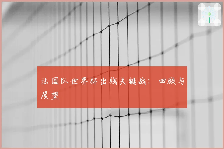 法国队世界杯出线关键战:回顾与展望