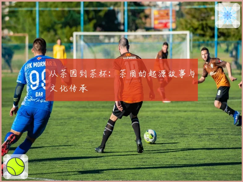 从茶园到茶杯：茶丽的起源故事与文化传承