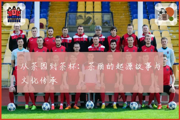 从茶园到茶杯：茶丽的起源故事与文化传承