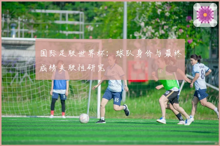国际足联世界杯：球队身价与最终成绩关联性研究