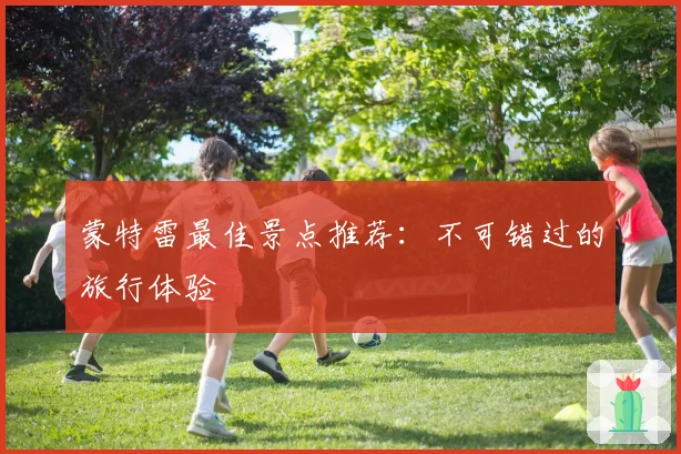 蒙特雷最佳景点推荐：不可错过的旅行体验